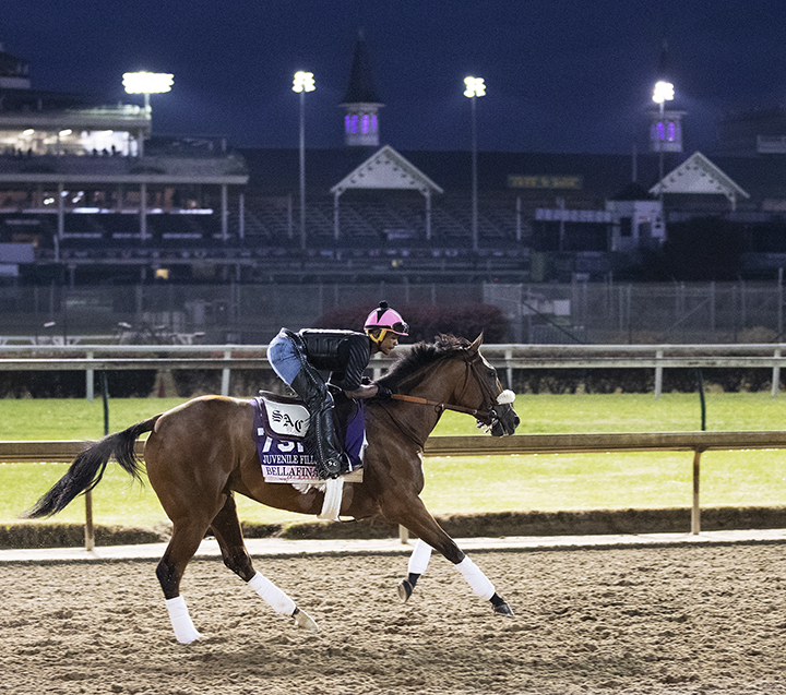 Bellafina trains at Churchill on Oct. 30