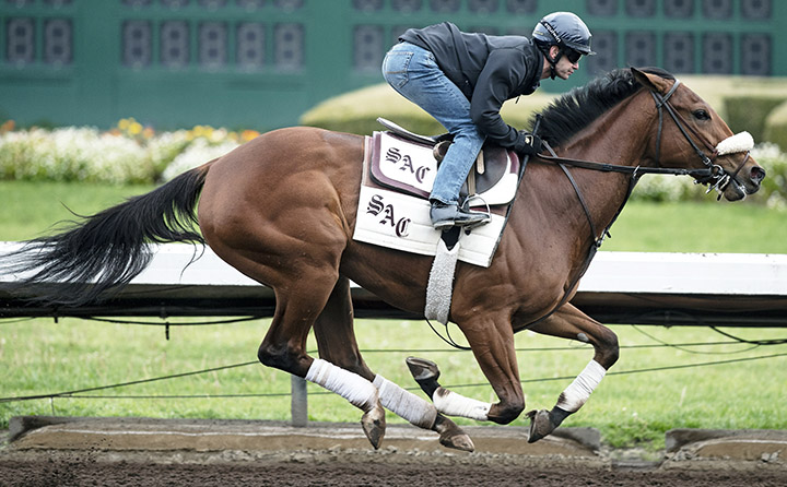 Bellafina trains at Los Alamitos on March 10
