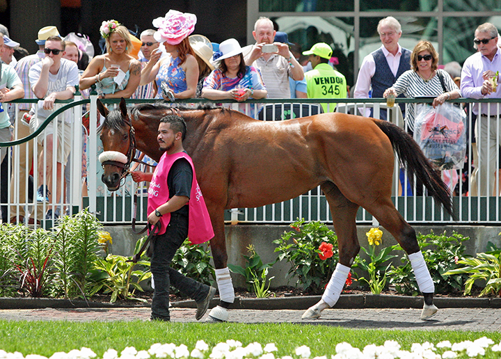 Bellafina at Churchill Downs on May 2
