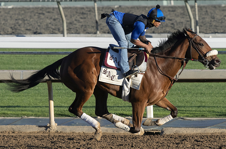 Bellafina trains at Santa Anita on Dec. 16