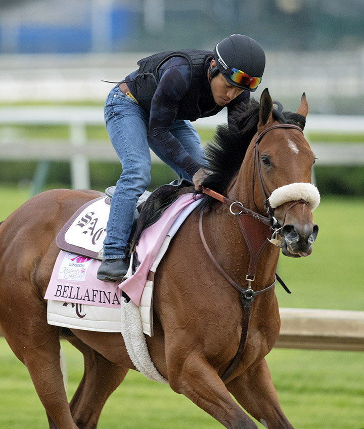 Bellafina trains at Churchill on April 30