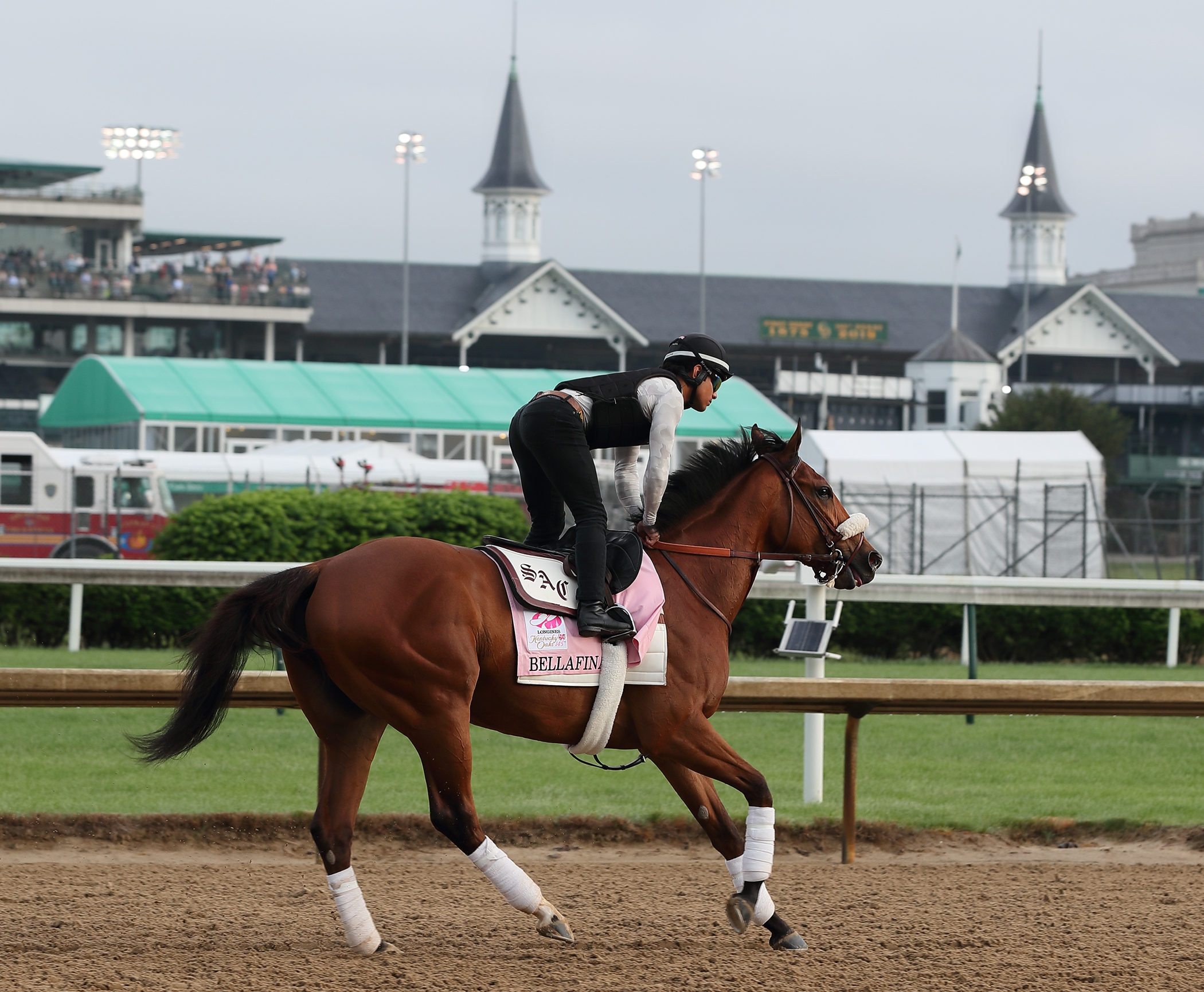 Bellafina trains at Churchill Downs on May 2, 2019