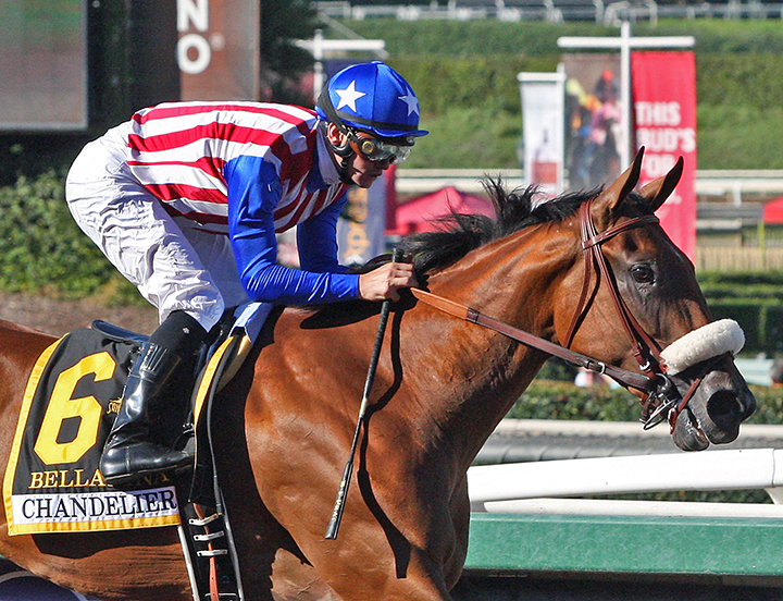 Bellafina wins the 2018 Chandelier