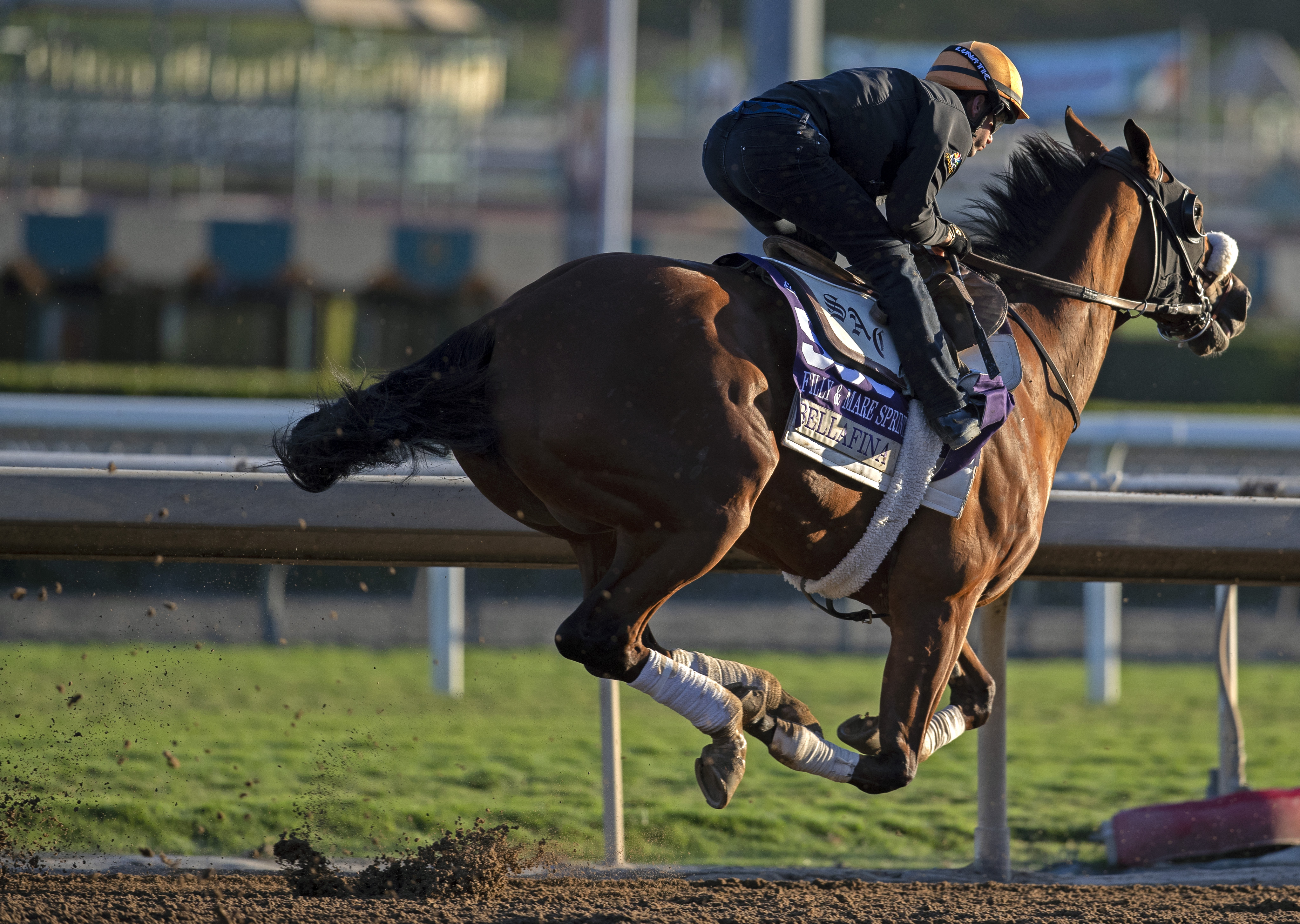 Bellafina works at Santa Anita on 10.26.19