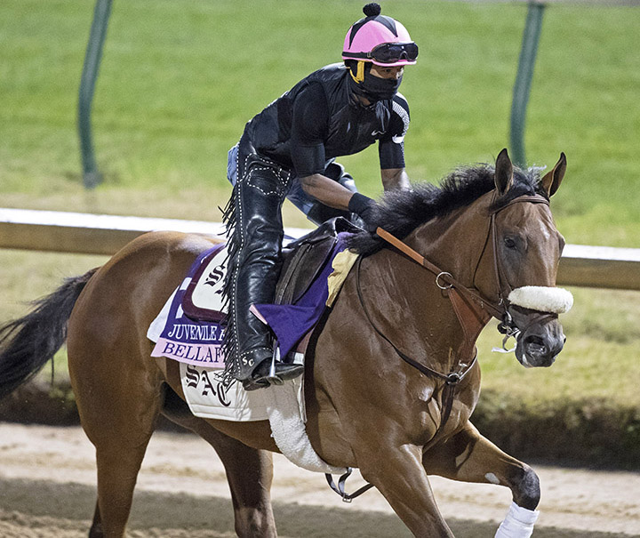 Bellafina trains at Churchill on Oct. 29