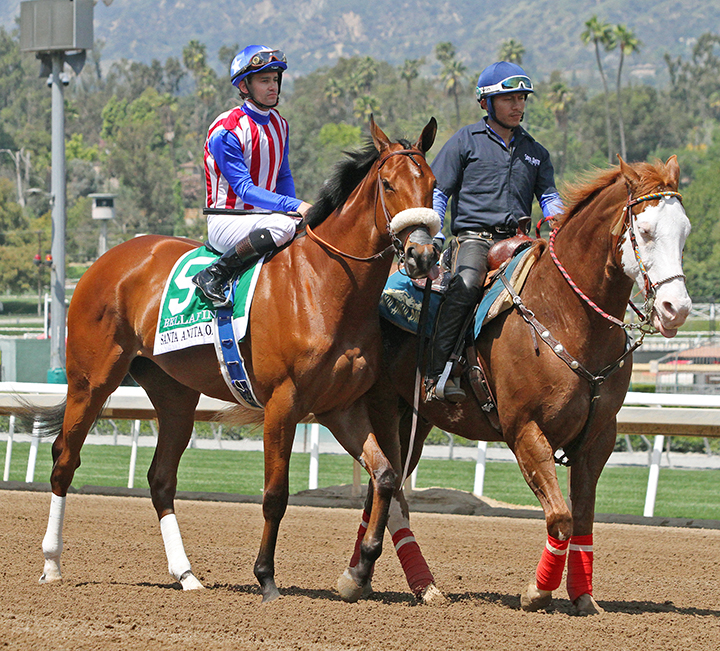 Bellafina at the 2019 Santa Anita Oaks