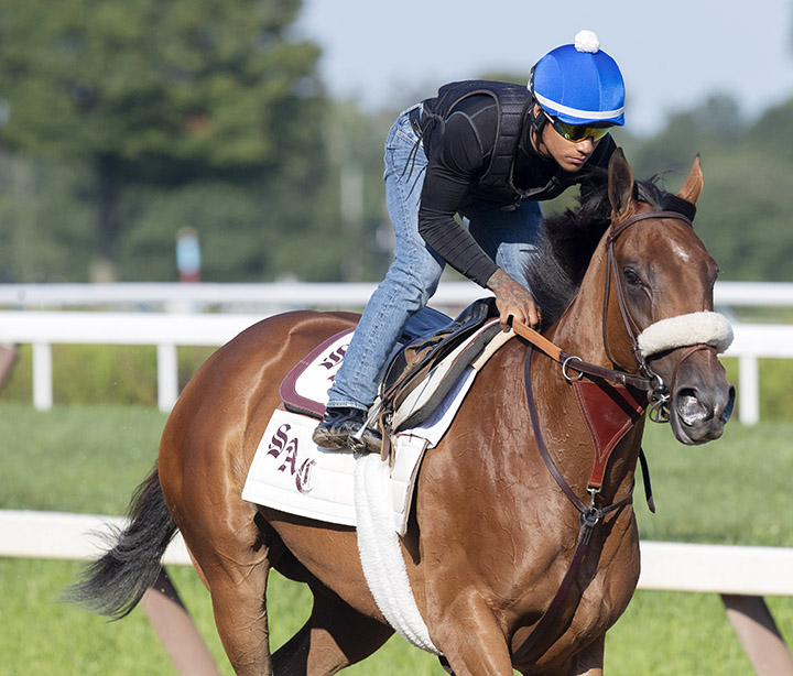 Bellafina at Saratoga Race Course on Aug. 1