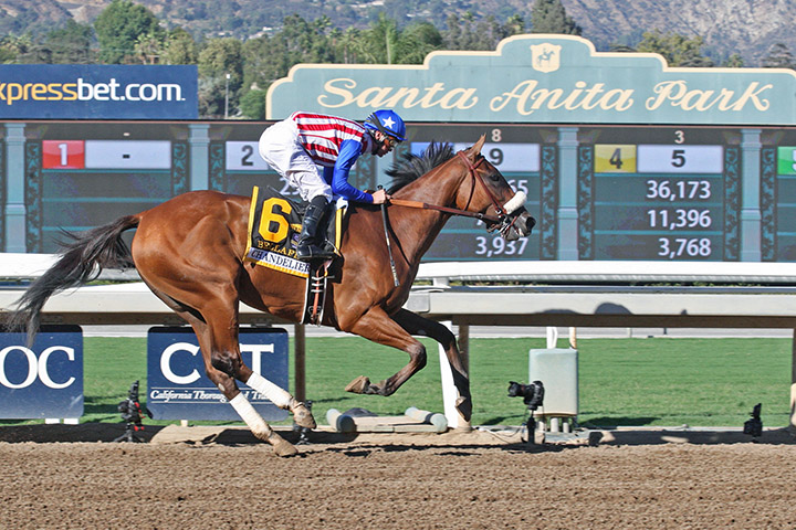 Bellafina wins the 2018 Chandelier
