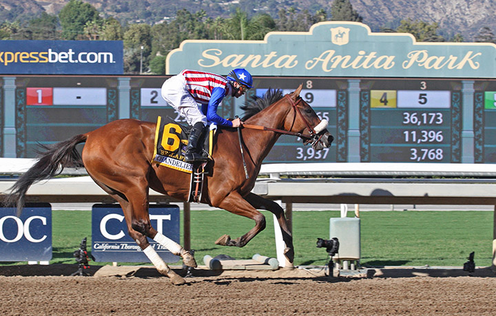 Bellafina wins the 2018 Chandelier