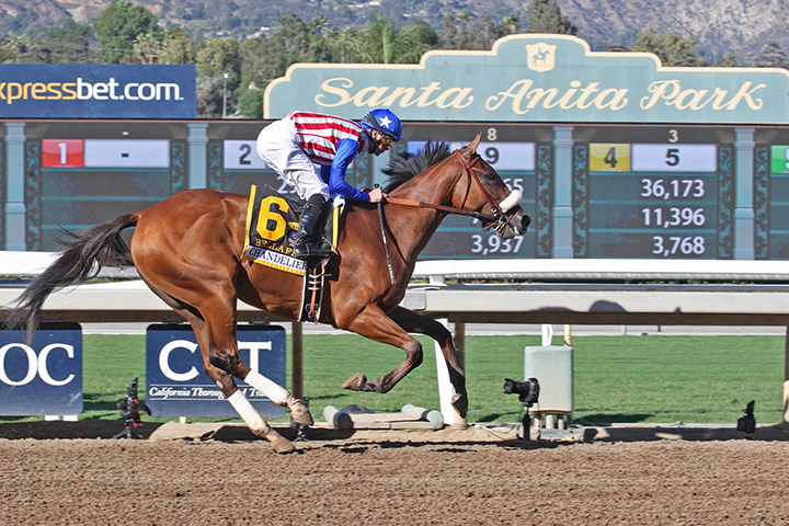 Bellafina - Eclipse Awards 2018
