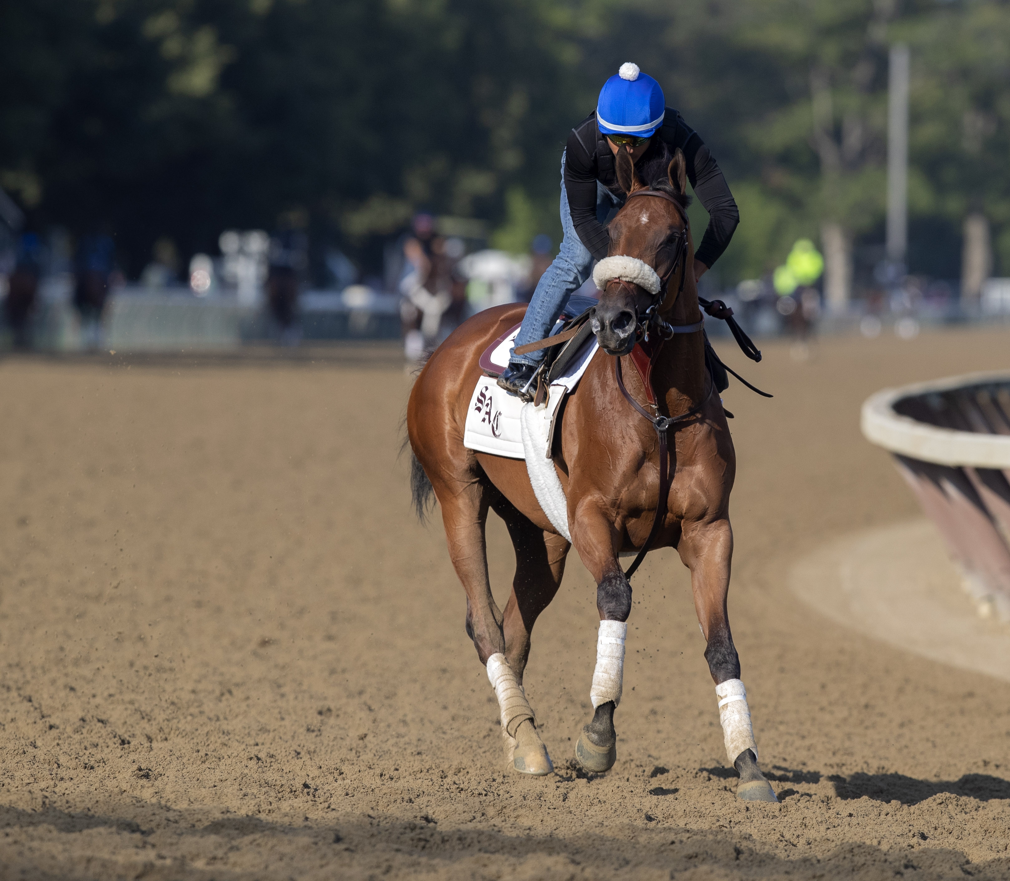 Bellafina trains at Saratoga on 8.1.19