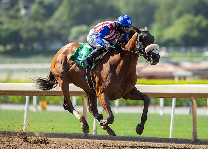Bellafina wins the 2020 Desert Stormer Stakes at Santa Anita Park