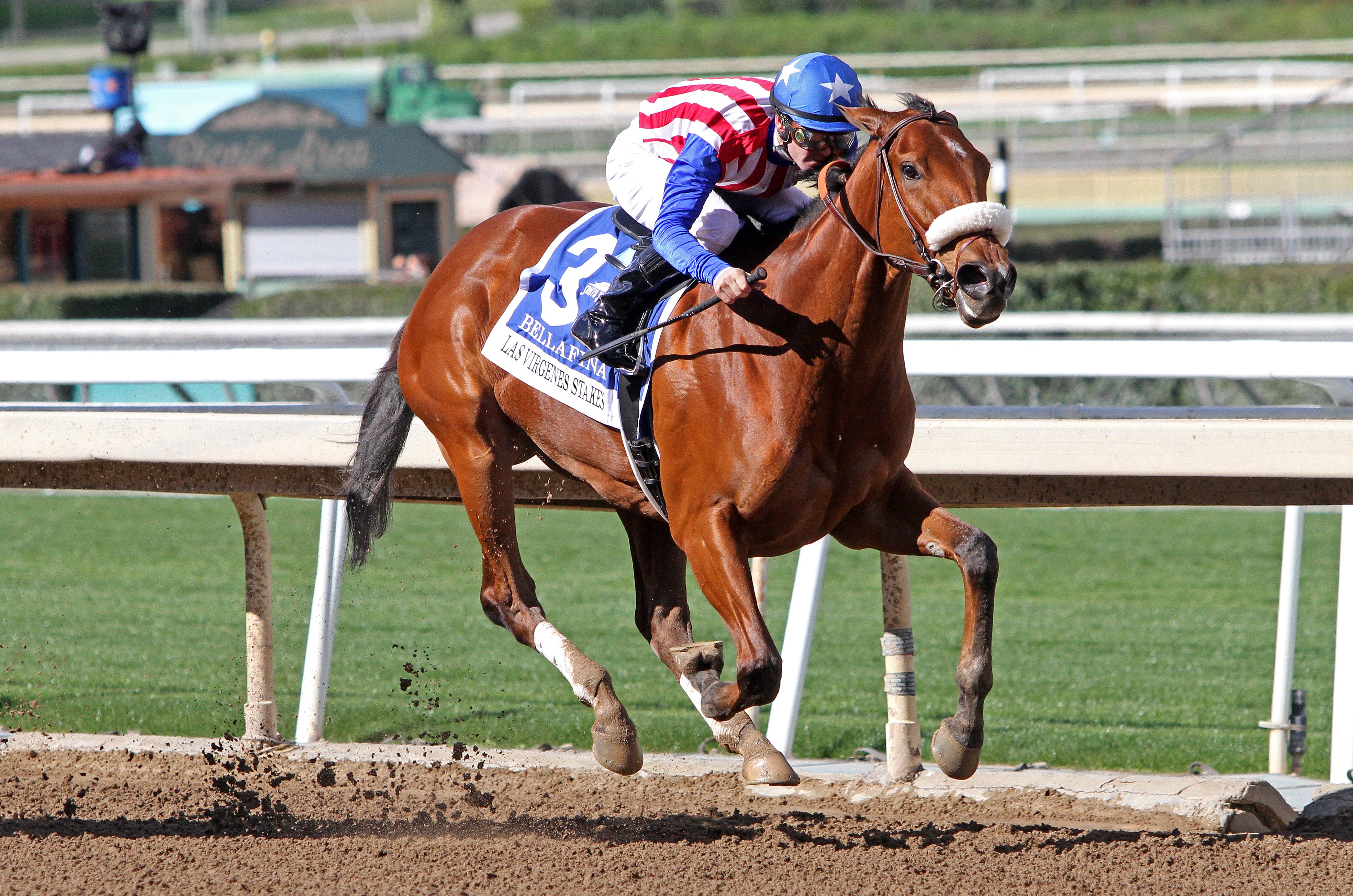 Bellafina wins the 2019 Las Virgenes