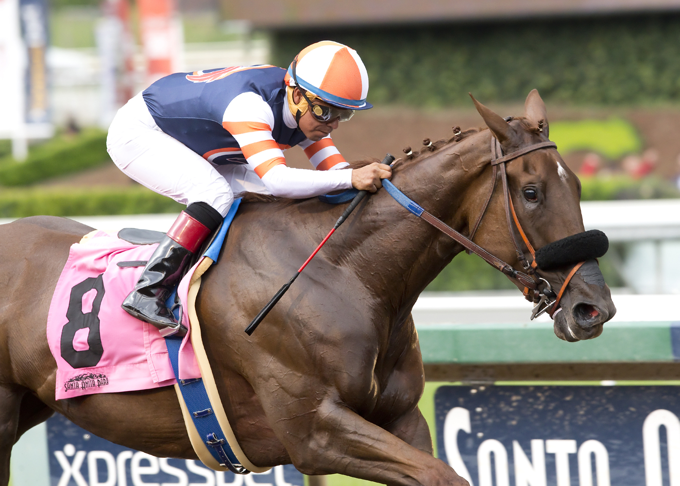 Bellamentary wins the 2016 Angels Flight Stakes