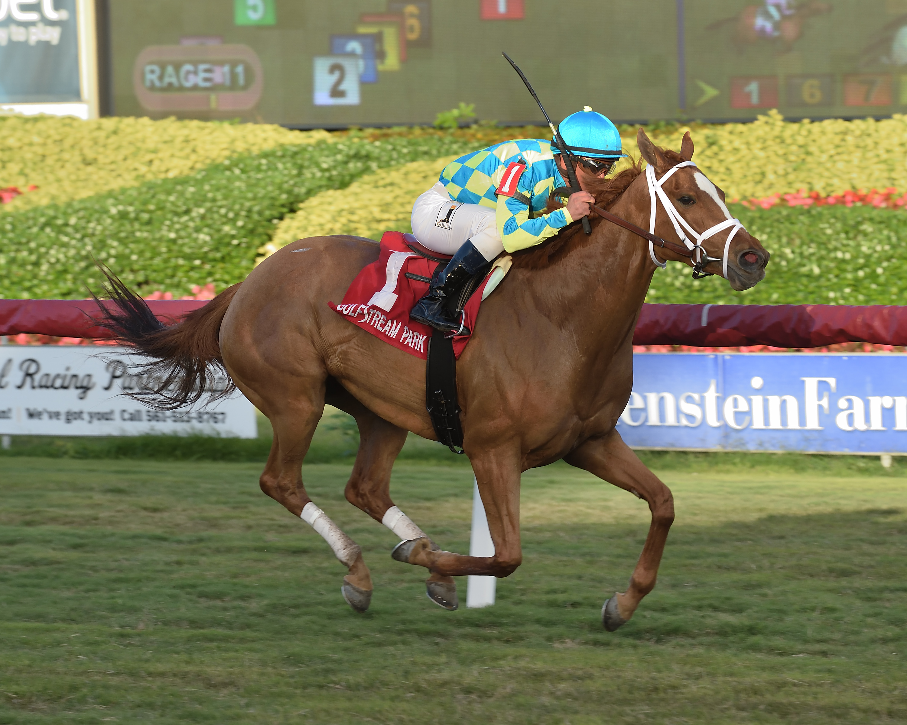 Bellavais wins the 2019 Marshua-s River Stakes