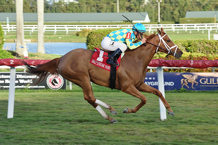 Bellavais wins the 2019 Marshua-s River