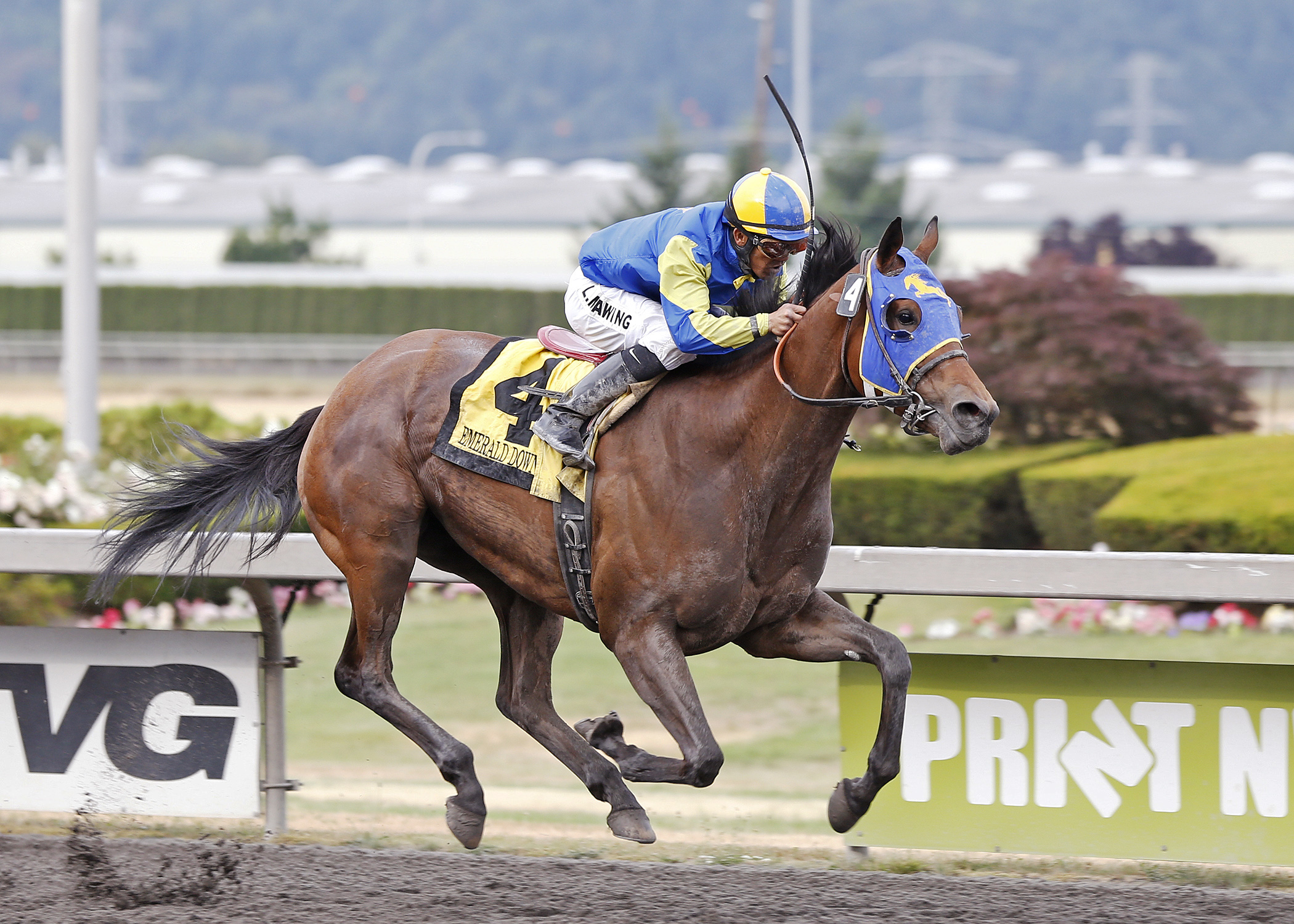 Belle Hill wins the Irish Day