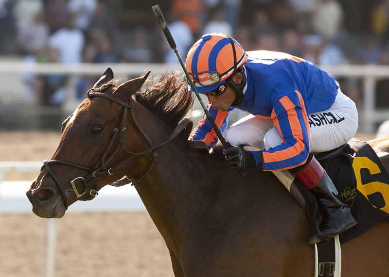 Belle Royale 5-28-2012
