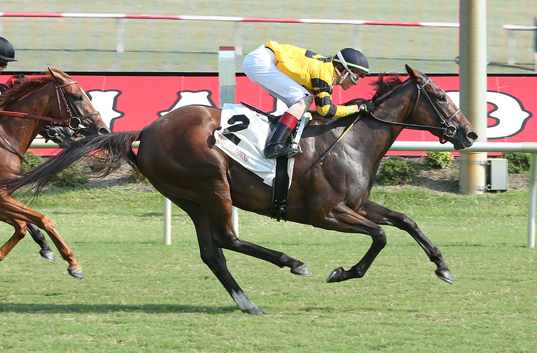 Belle Belisa wins an Aug. 10 maiden race at Colonial Downs