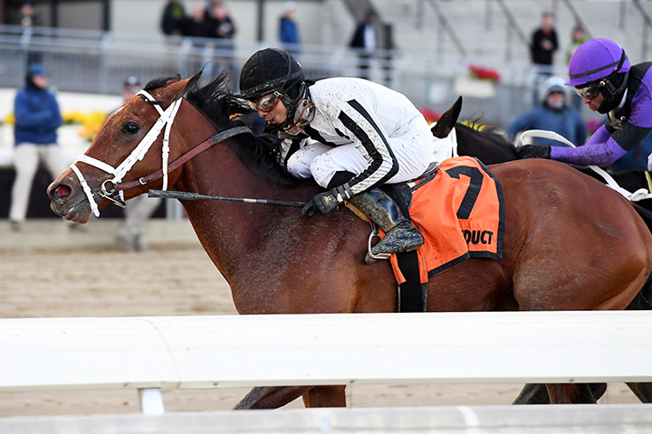 Bellera wins the 2020 Ladies Handicap at Aqueduct Racetrack