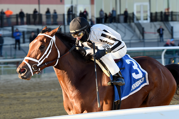 Bellera wins the 2019 Comely Stakes at Aqueduct Racetrack