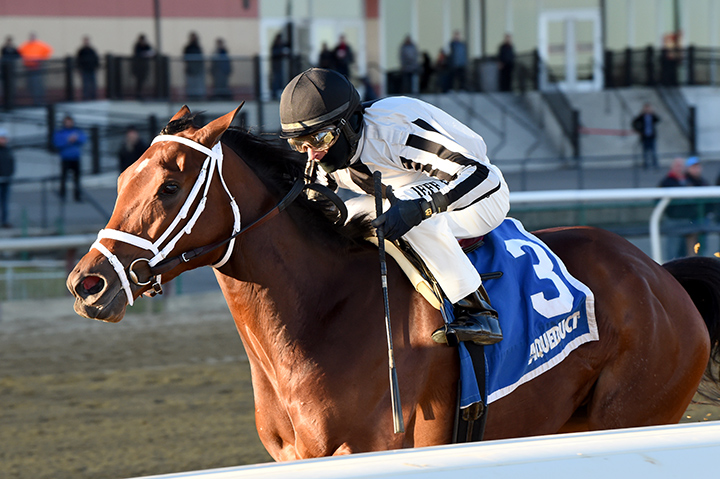 Bellera wins the 2019 Comely Stakes at Aqueduct Racetrack