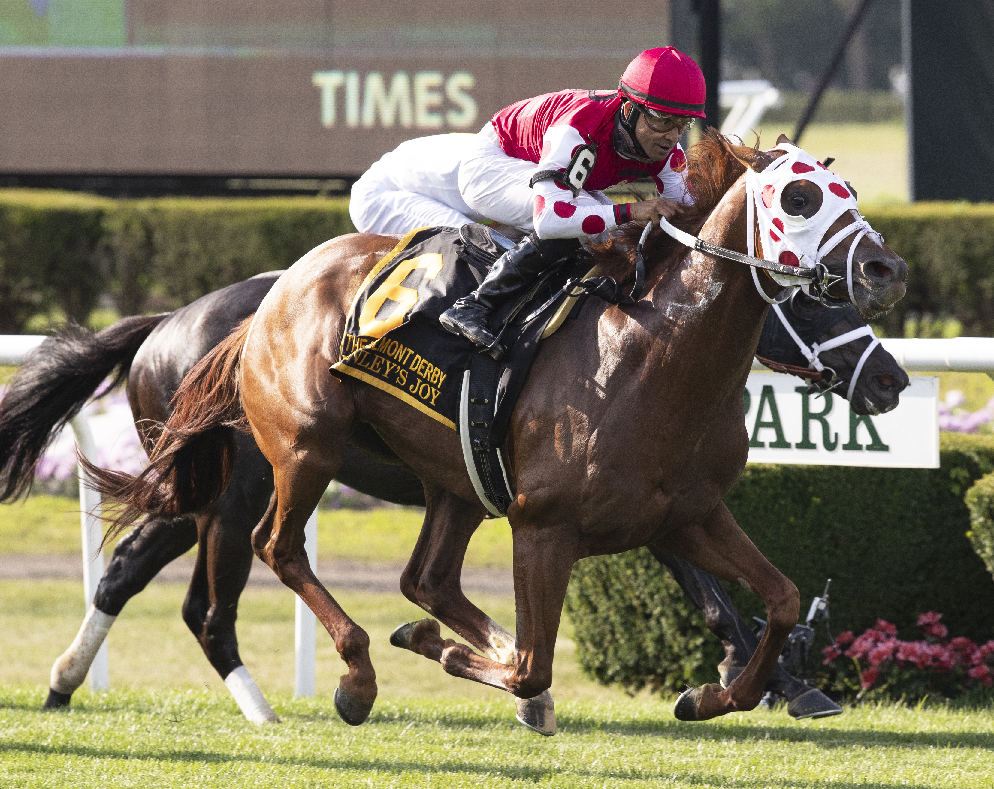 Henley's Joy wins the 2019 Belmont Derby