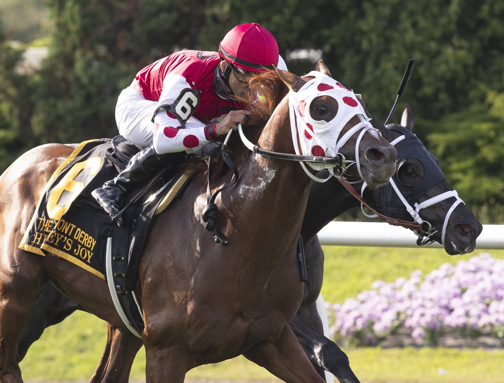 Henley's Joy wins the 2019 Belmont Derby