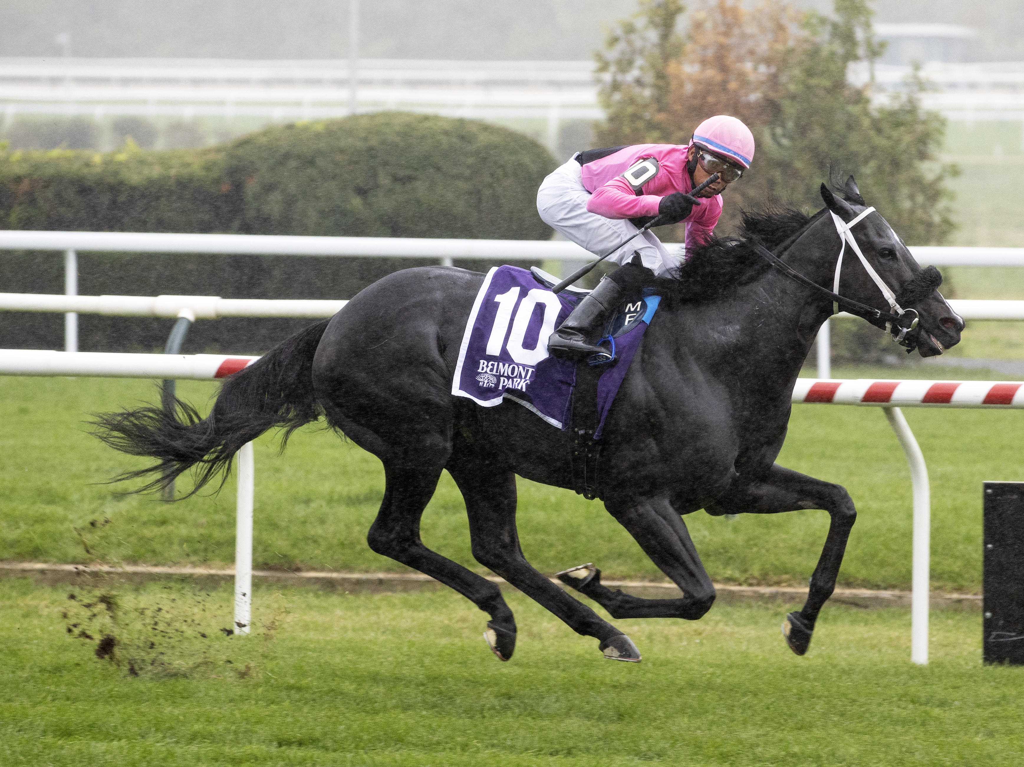 Dancing Buck wins Belmont Turf Sprint 10-1-2022