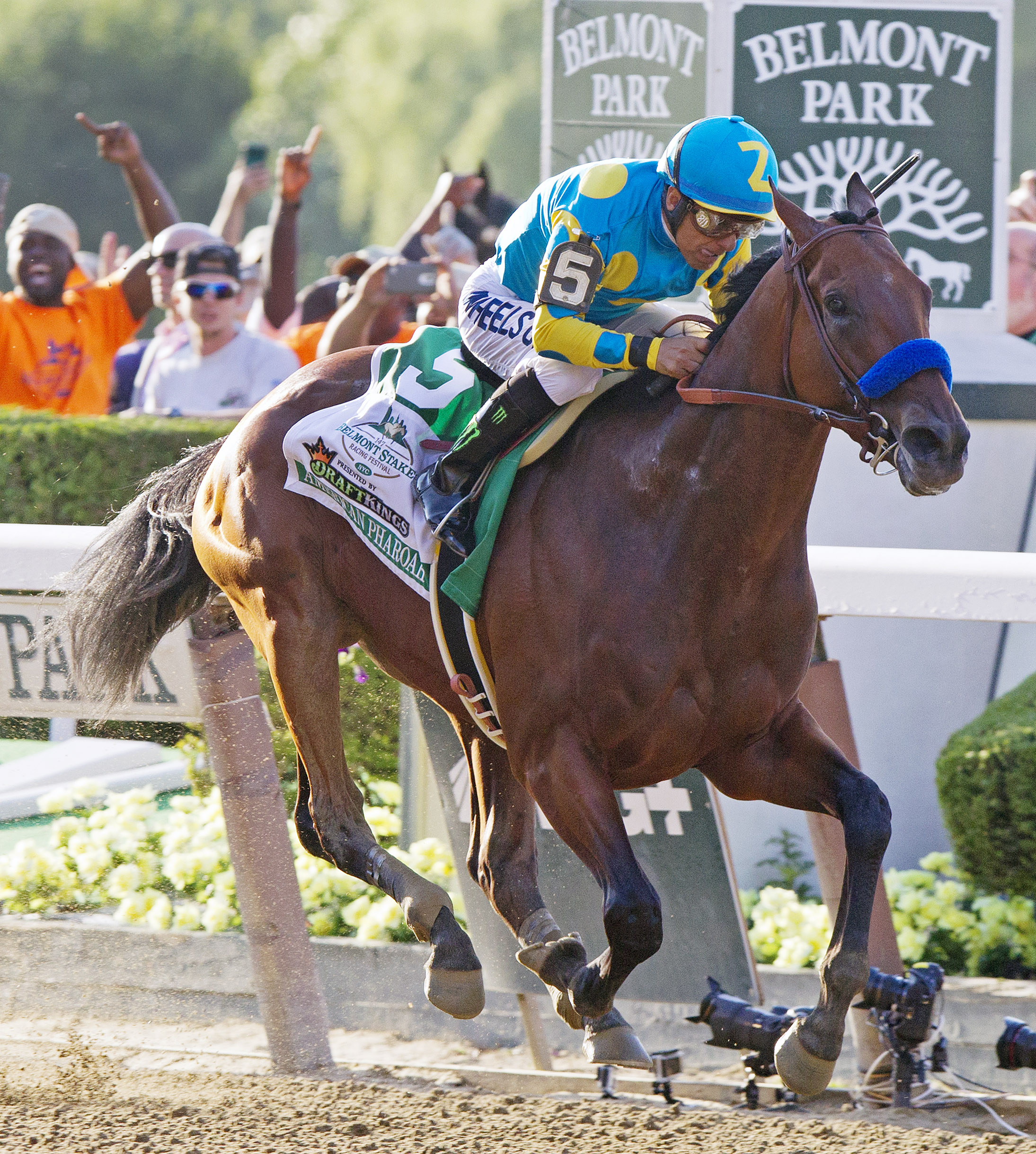 American Pharoah Beyer