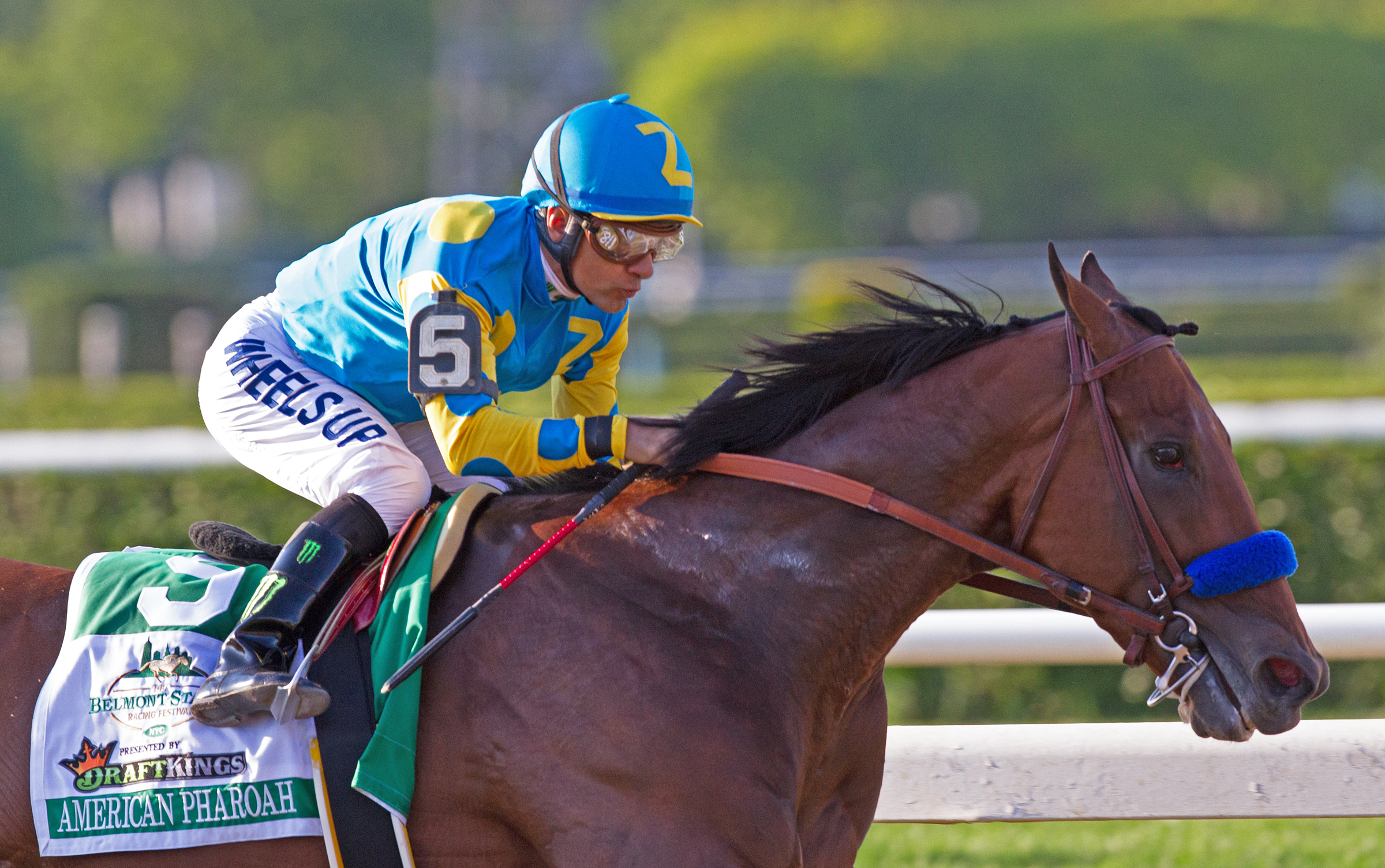 American Pharoah wins 2015 Belmont