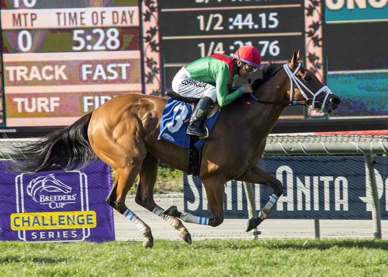 Belvoir Bay wins the 2018 Monrovia Stakes