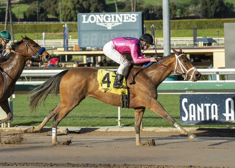 Belvoir Bay wins the 2019 Las Cienegas