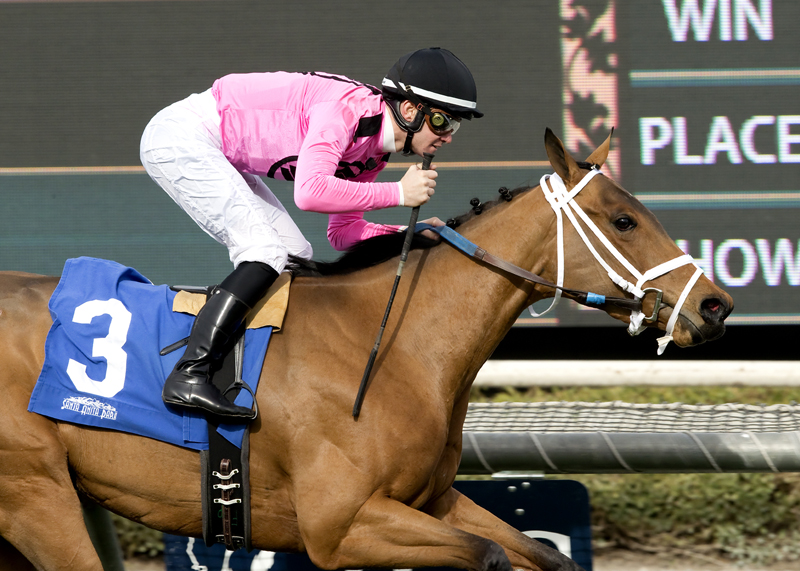 Belvoir Bay 12-27-2015