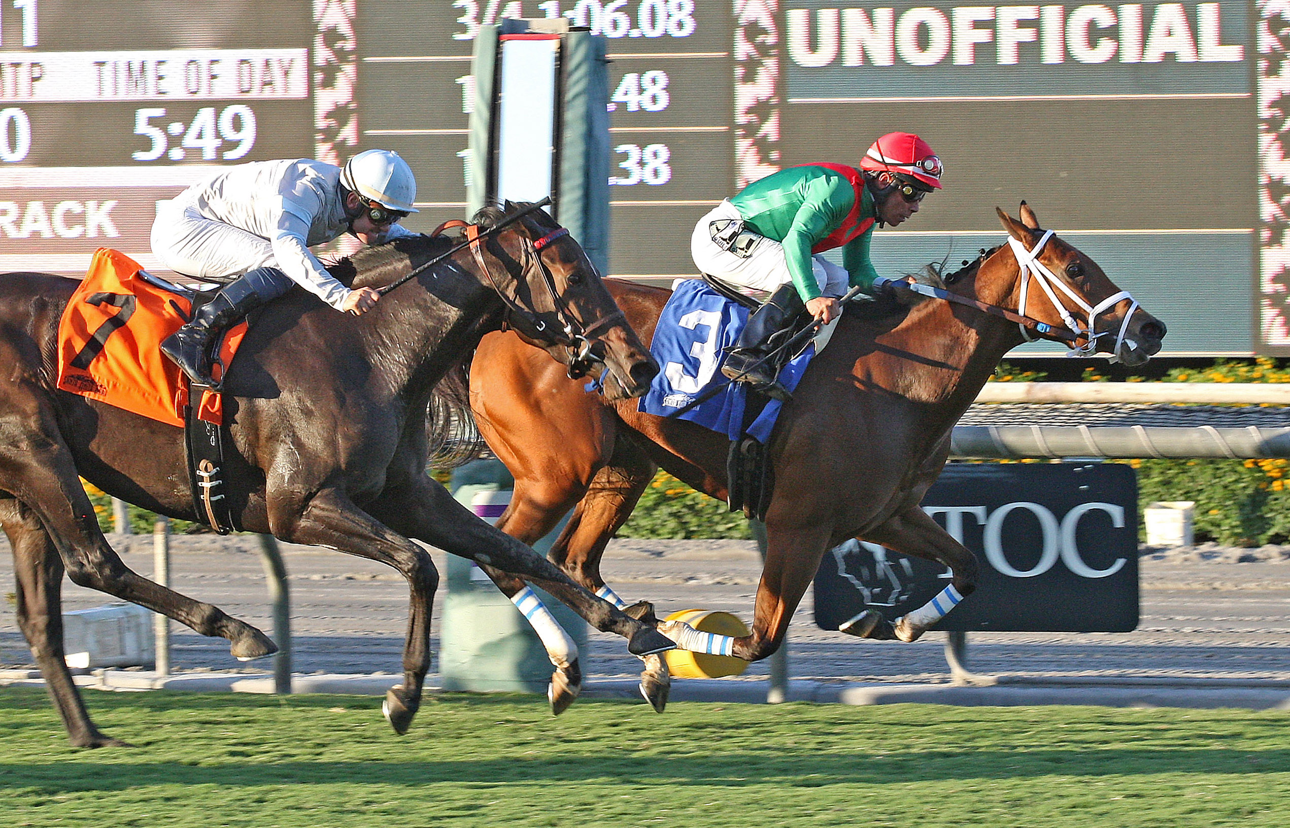 Belvoir Bay wins the Unzip Me Stakes
