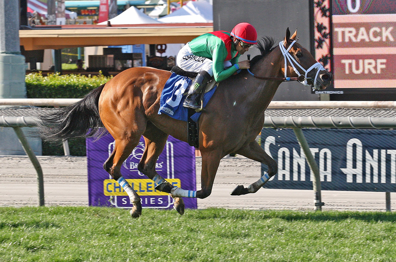 Belvoir Bay wins the 2018 Monrovia Stakes