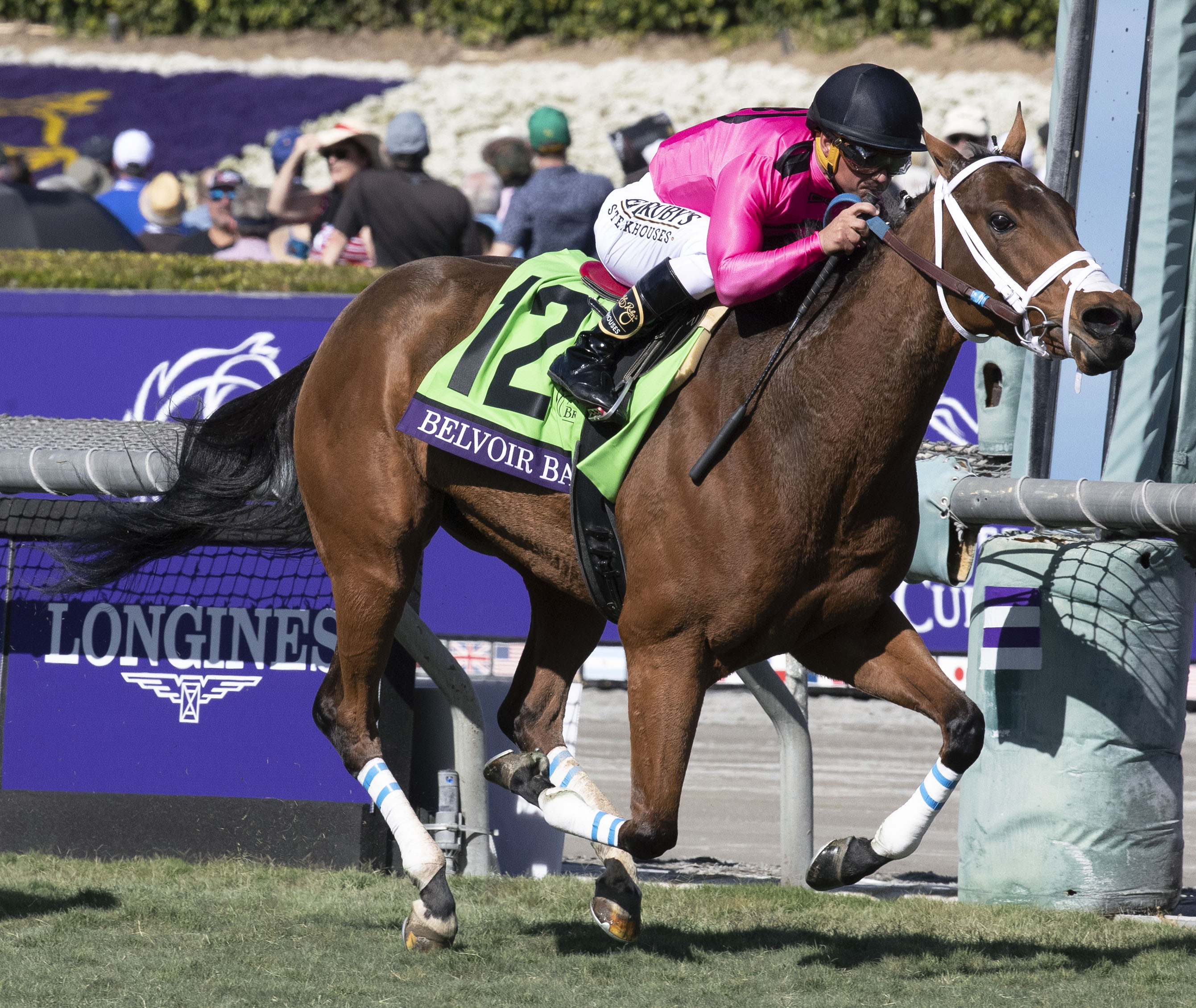 Belvoir Bay wins the 2019 BC Turf Sprint