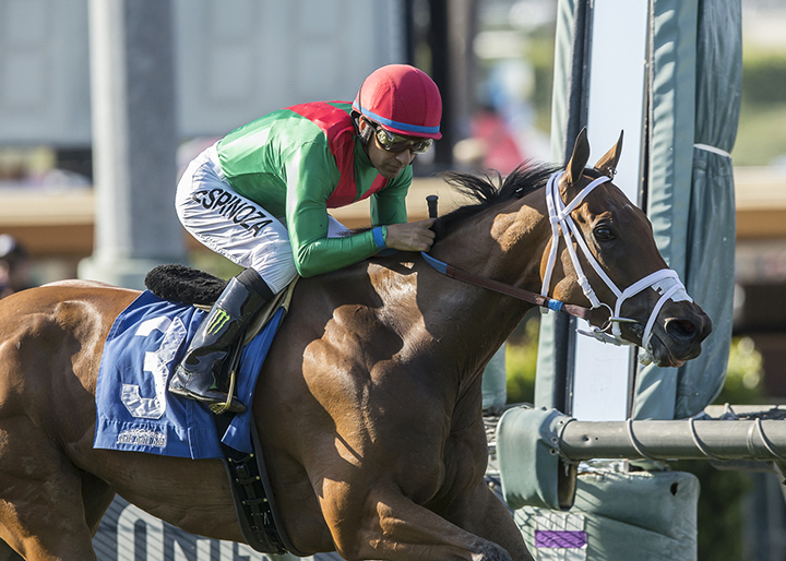 Belvoir Bay wins the 2018 Monrovia Stakes