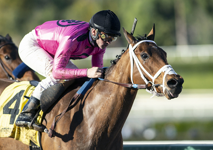 Belvoir Bay wins the 2019 Las Cienegas