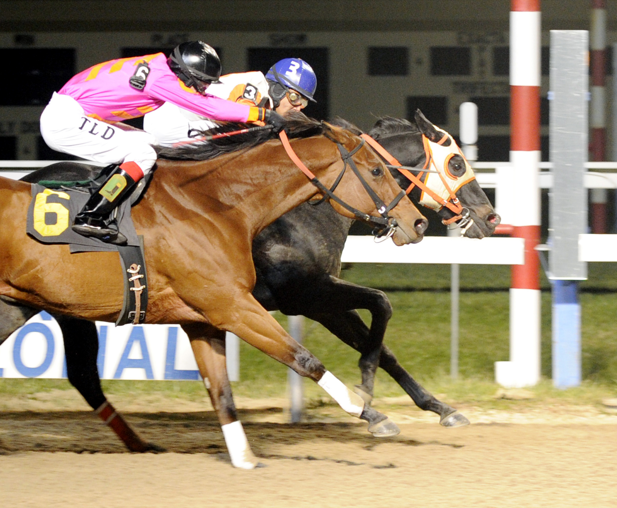 Ben's Cat wins the 2012 Fabulous Strike