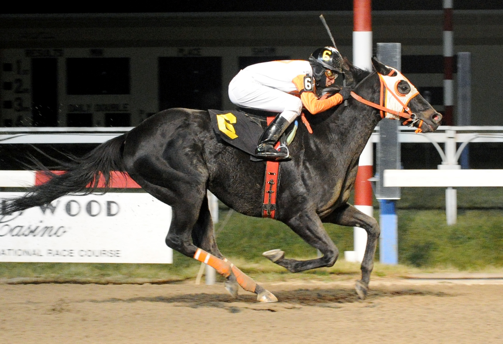 Ben's Cat wins the 2014 Fabulous Strike