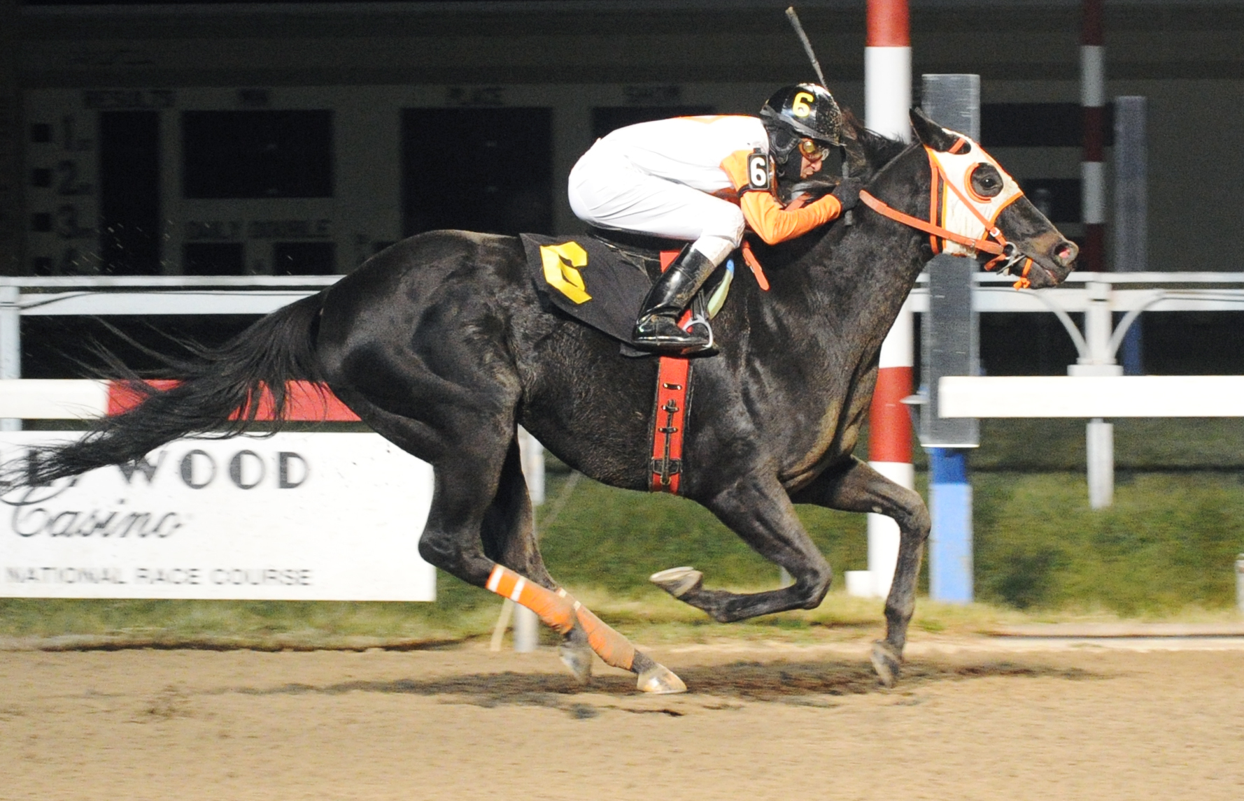 Ben's Cat wins the Fabulous Strike Handicap