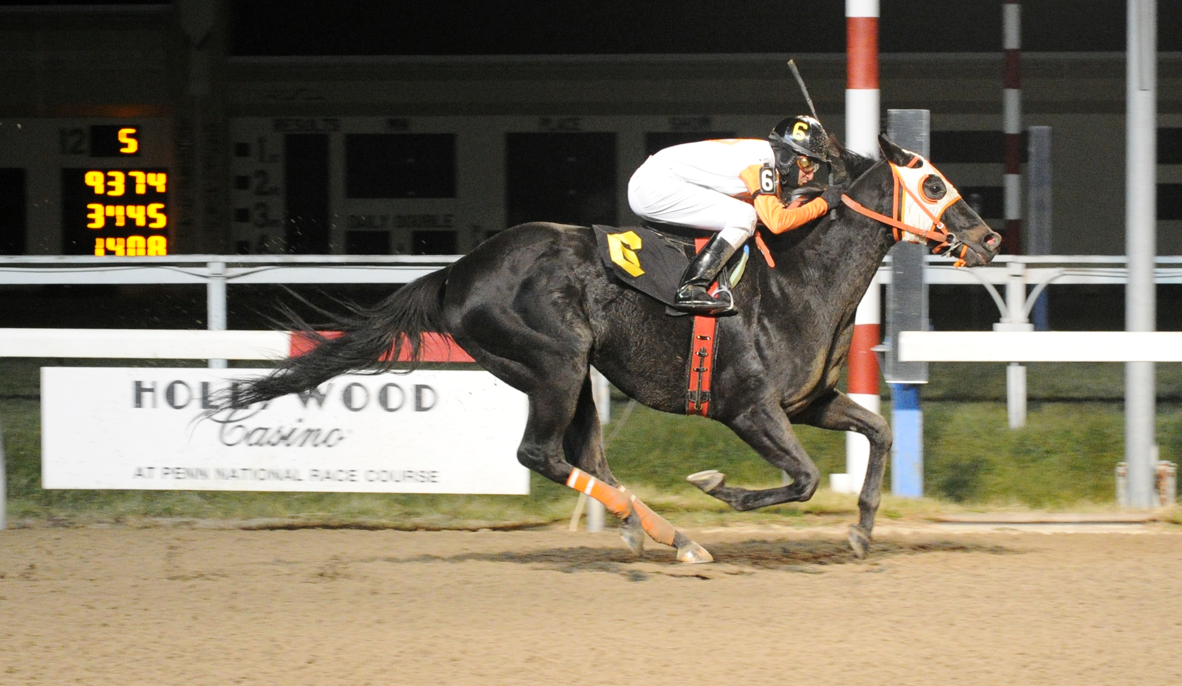 Ben's Cat wins the 2014 Fabulous Strike