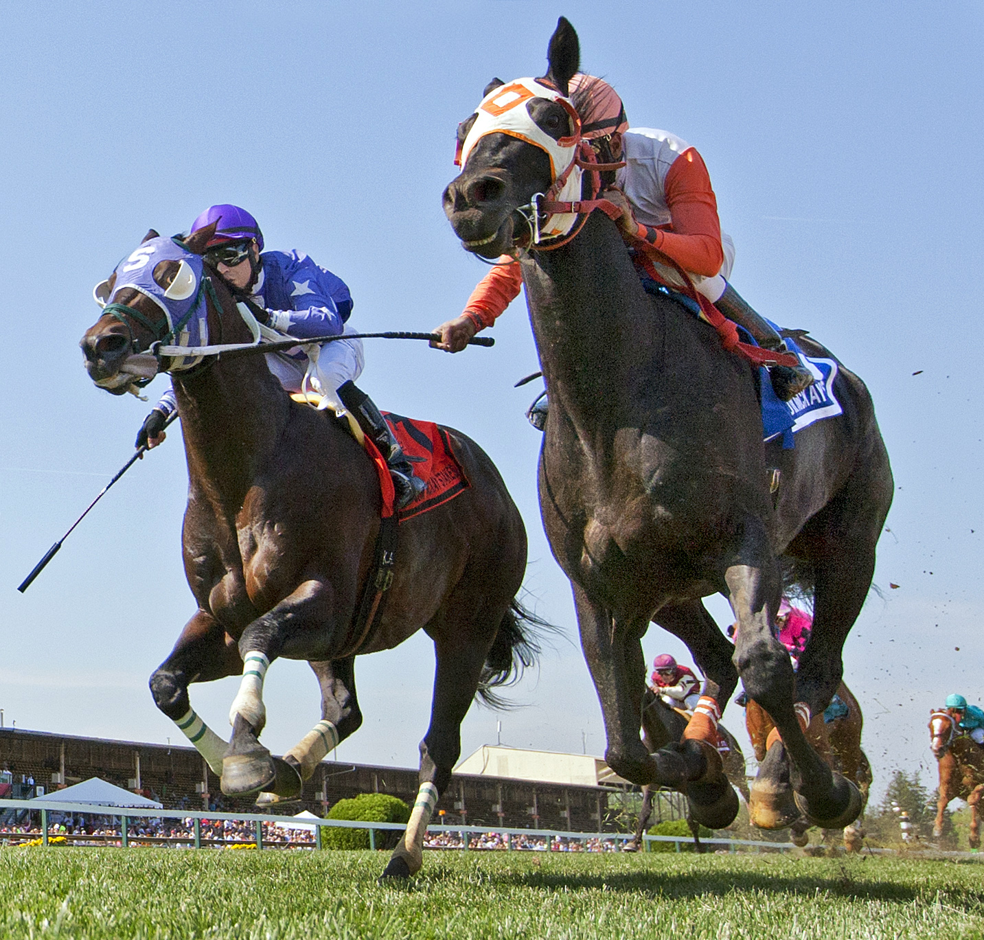 Ben's Cat wins the Jim McKay Turf Sprint