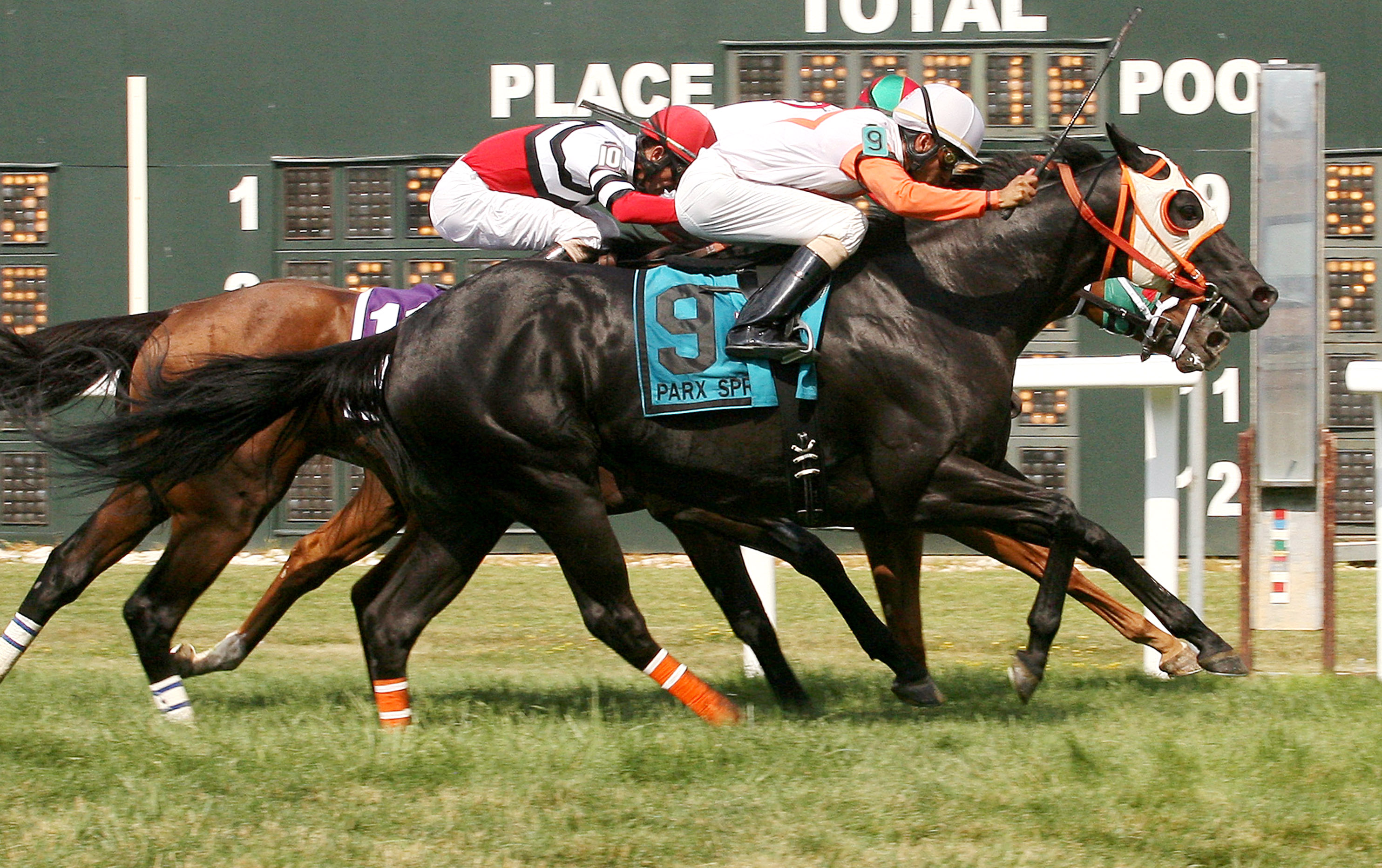 Ben's Cat wins the 2014 Parx Dash