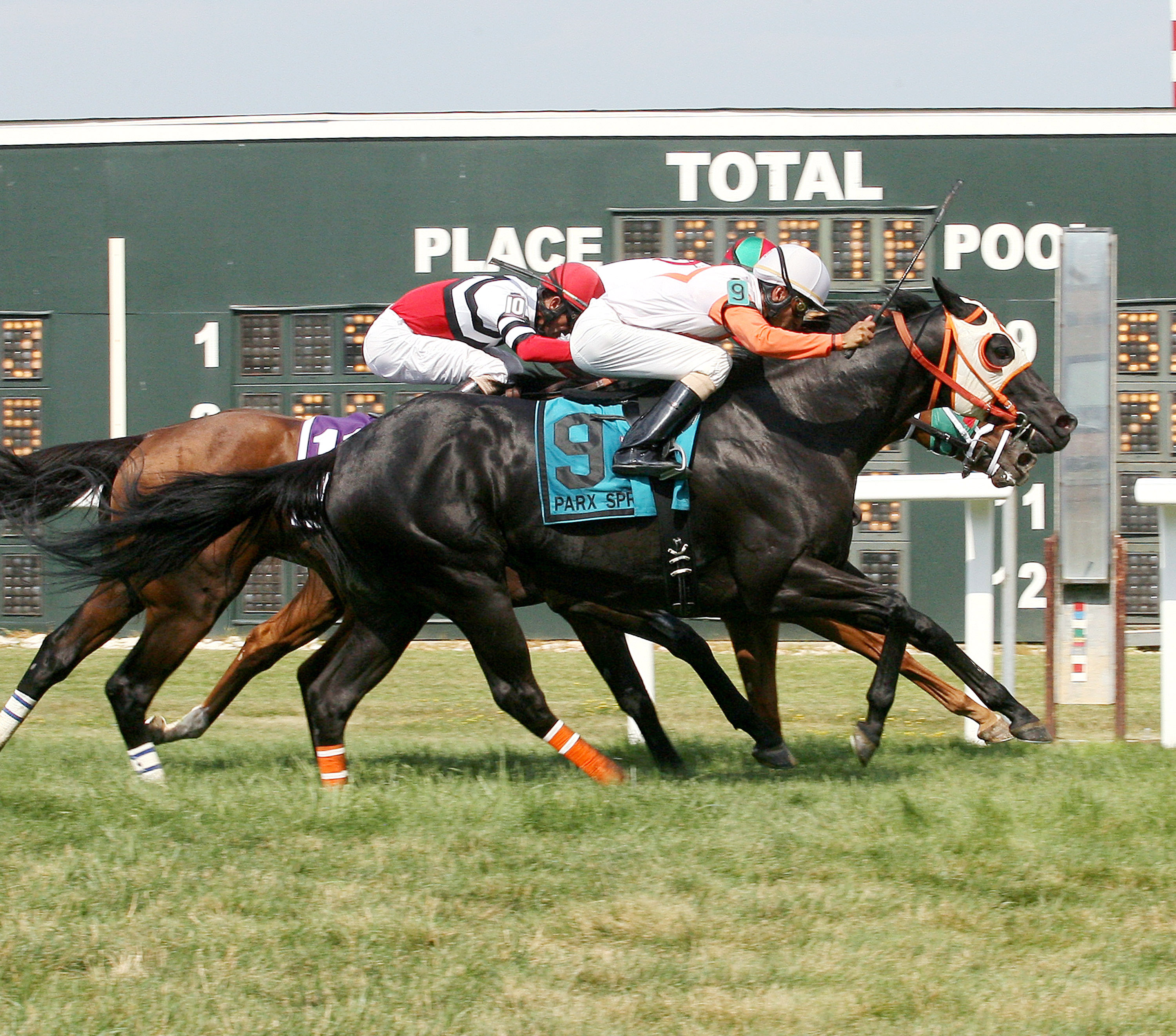 Ben's Cat wins the Parx Dash