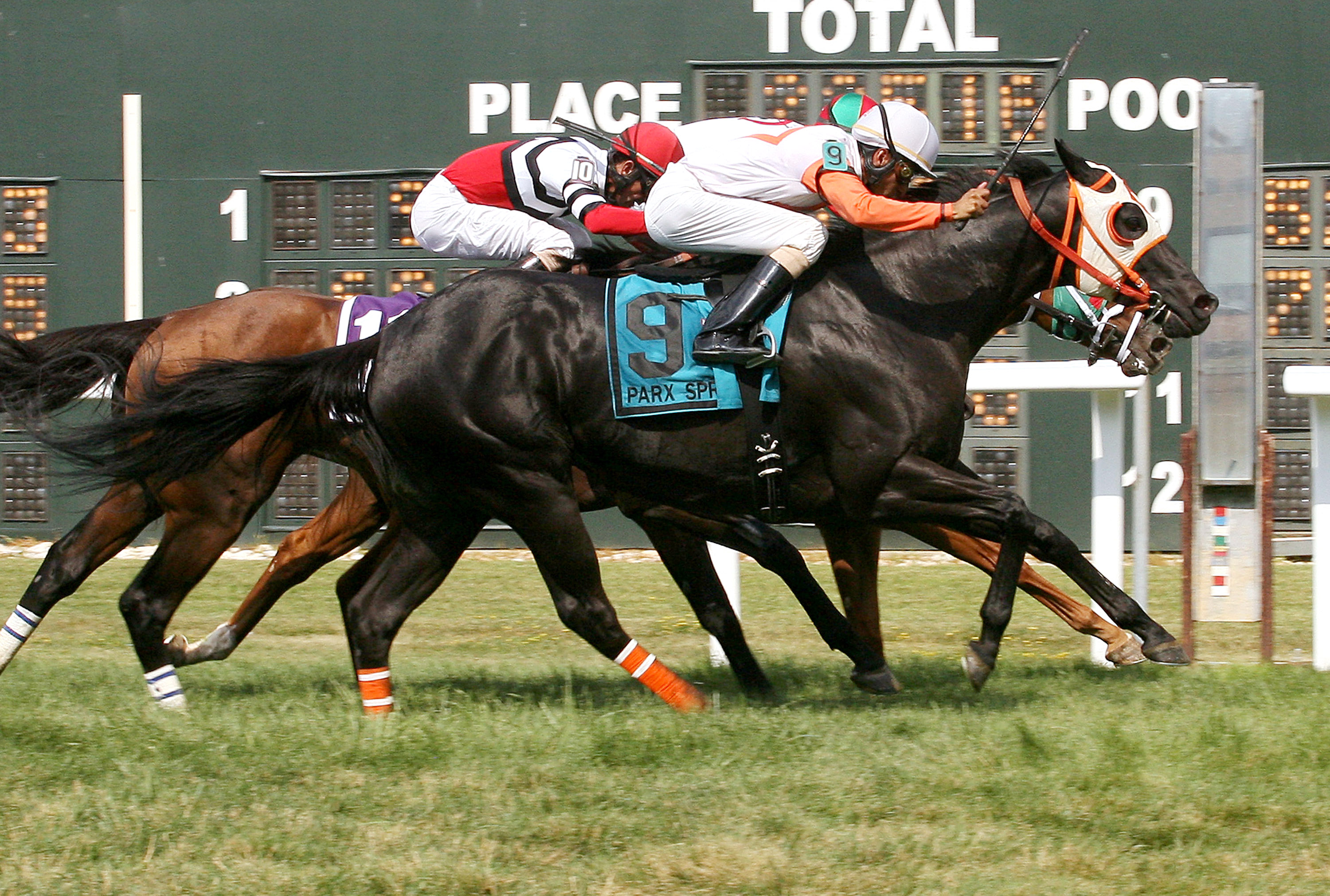 Ben's Cat wins the 2014 Parx Dash