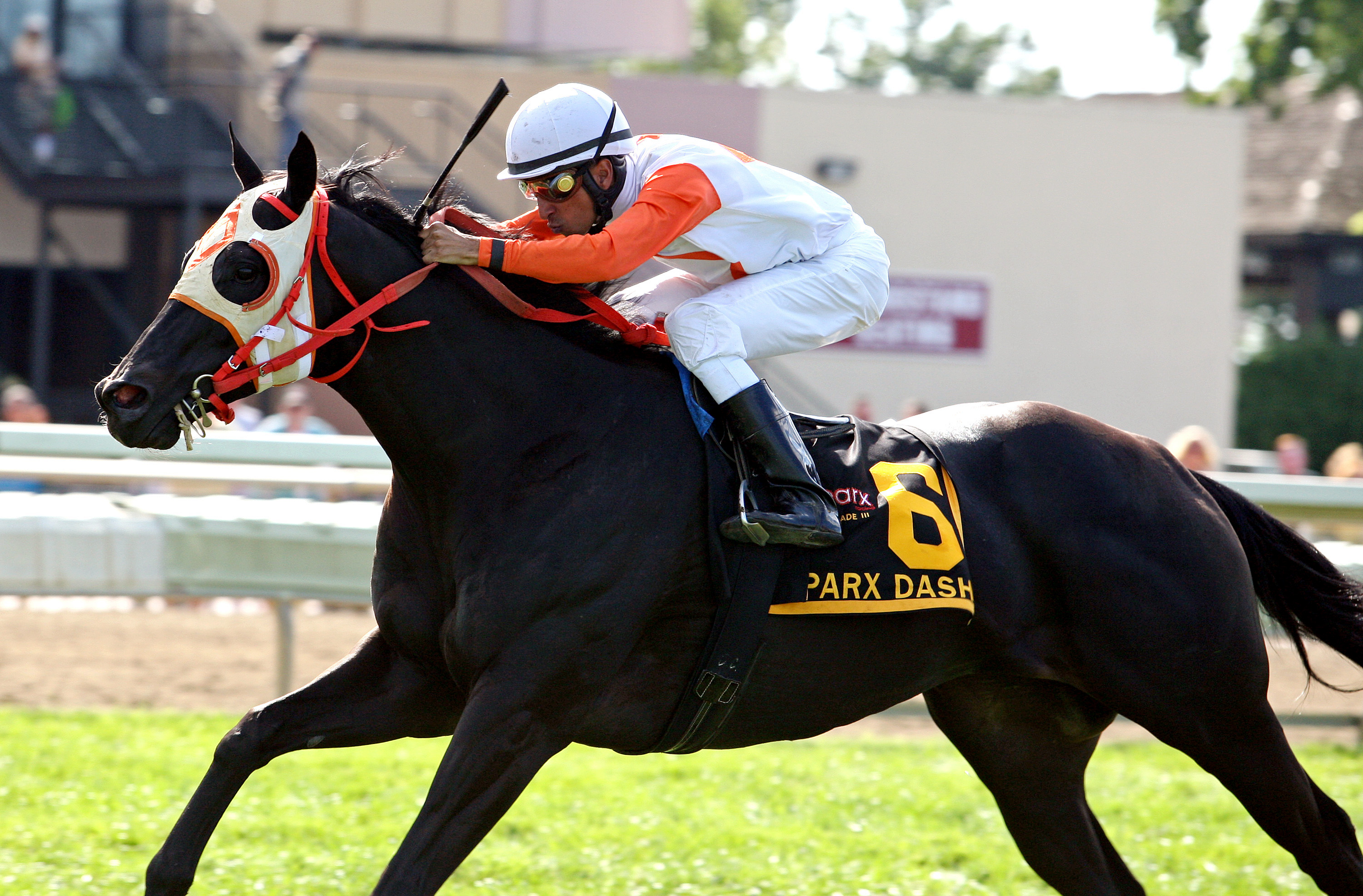 Ben's Cat wins the 2013 Parx Dash