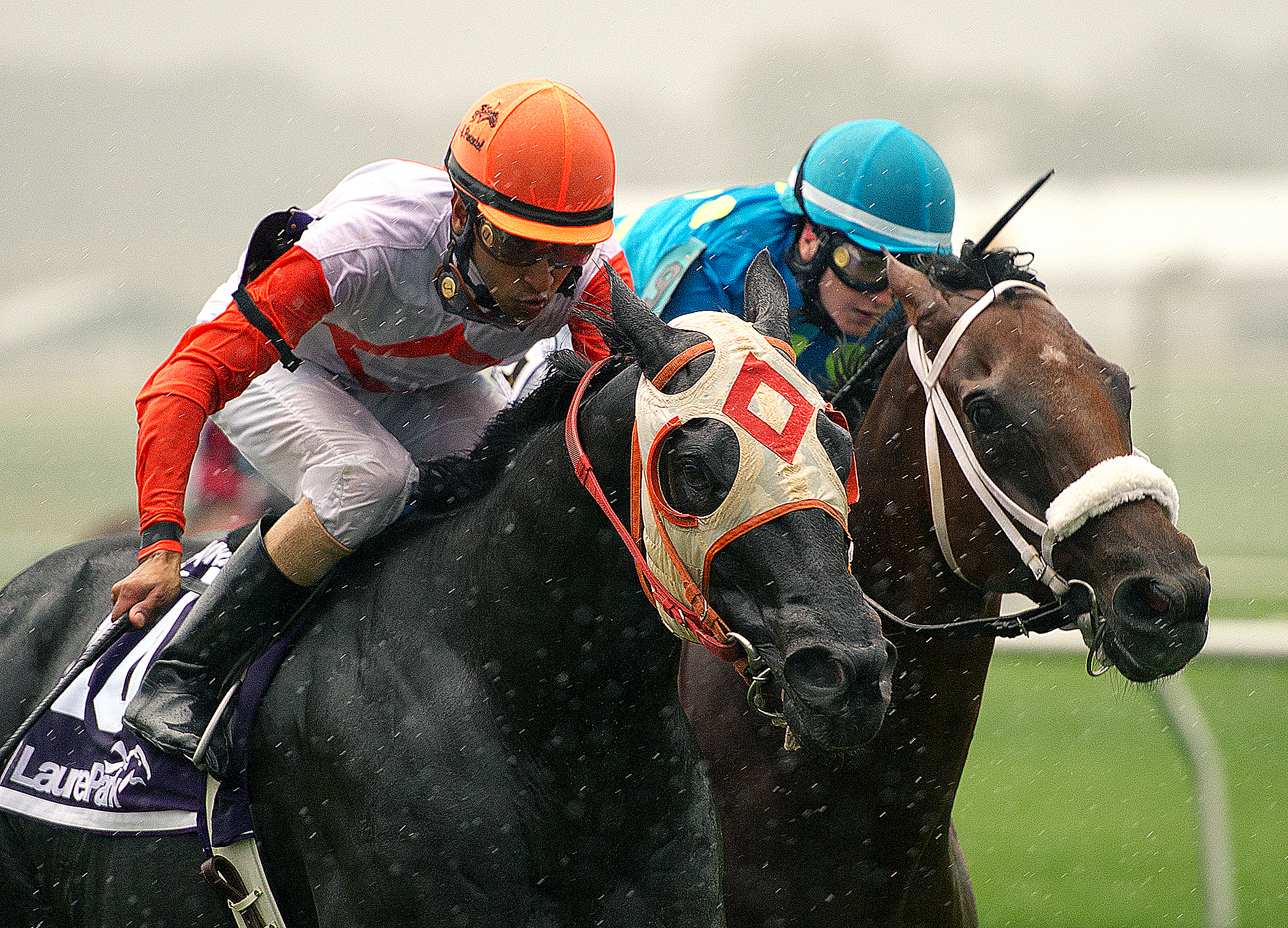 Ben's Cat wins the Laurel Dash
