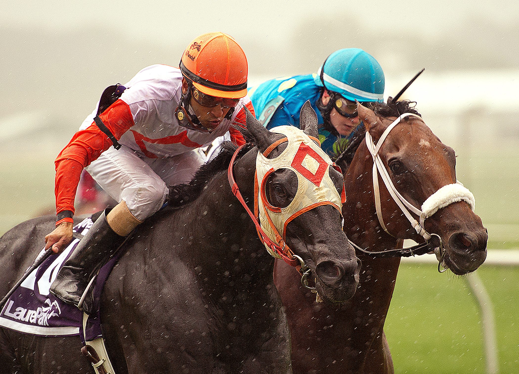 Ben's Cat wins the 2013 Laurel Dash